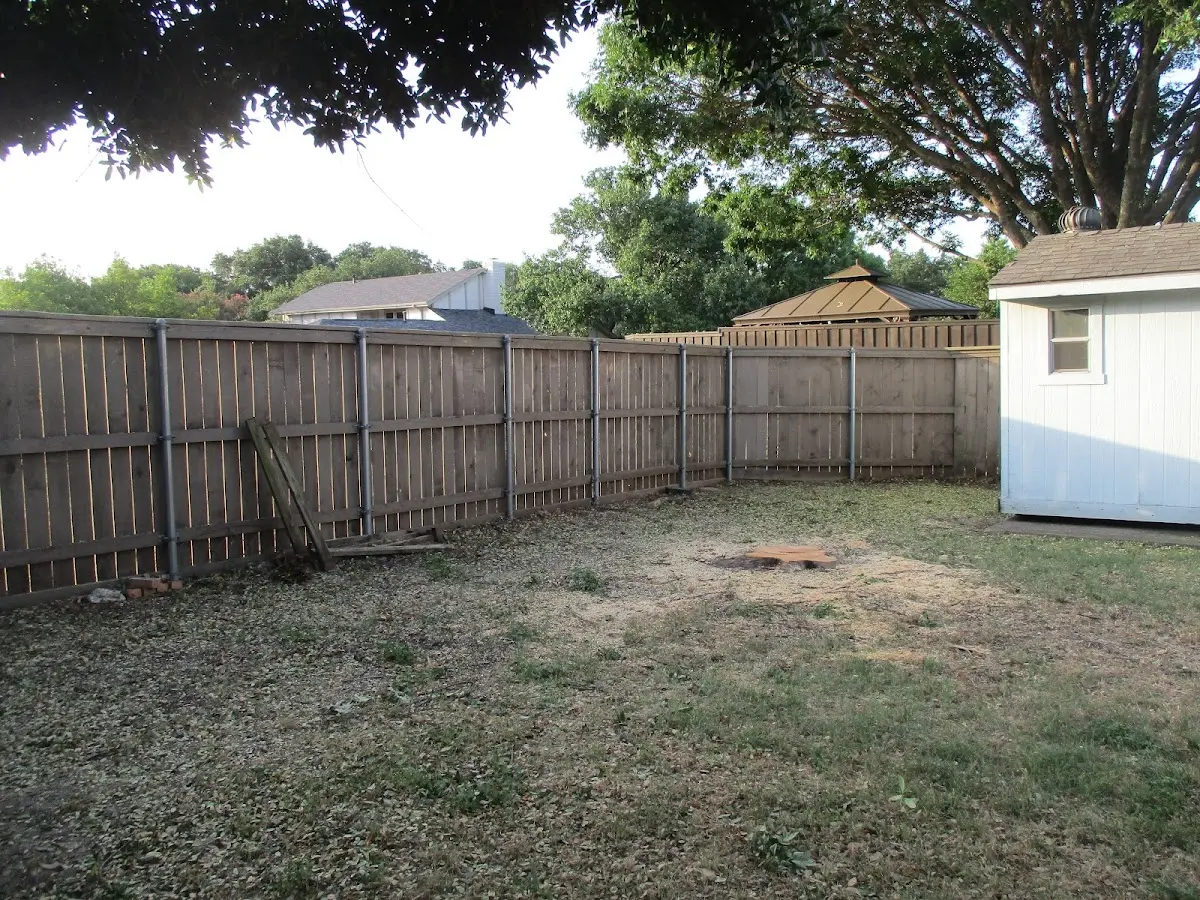 Cleared yard after professional tree removal in Ridgeville Corners